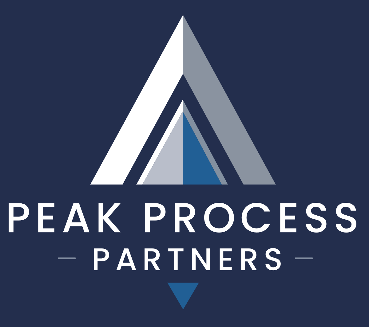 Peak Process Partners logo